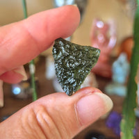 A person holding a small green moldavite specimen against a backdrop of various crystal figurines and plants.