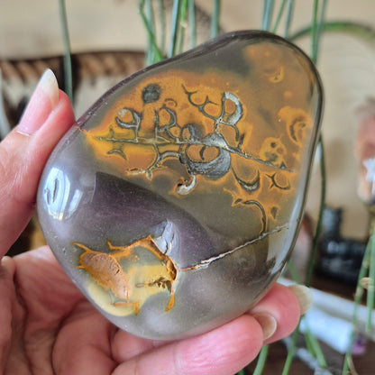 A freeform Mookaite Jasper stone held in a person's hand, with a blurred background.