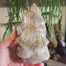 Ocean Jasper Flame