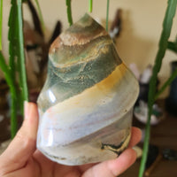 A hand holding a polished Ocean Jasper crystal with a flame-like shape, with colors ranging from green, brown, and white.