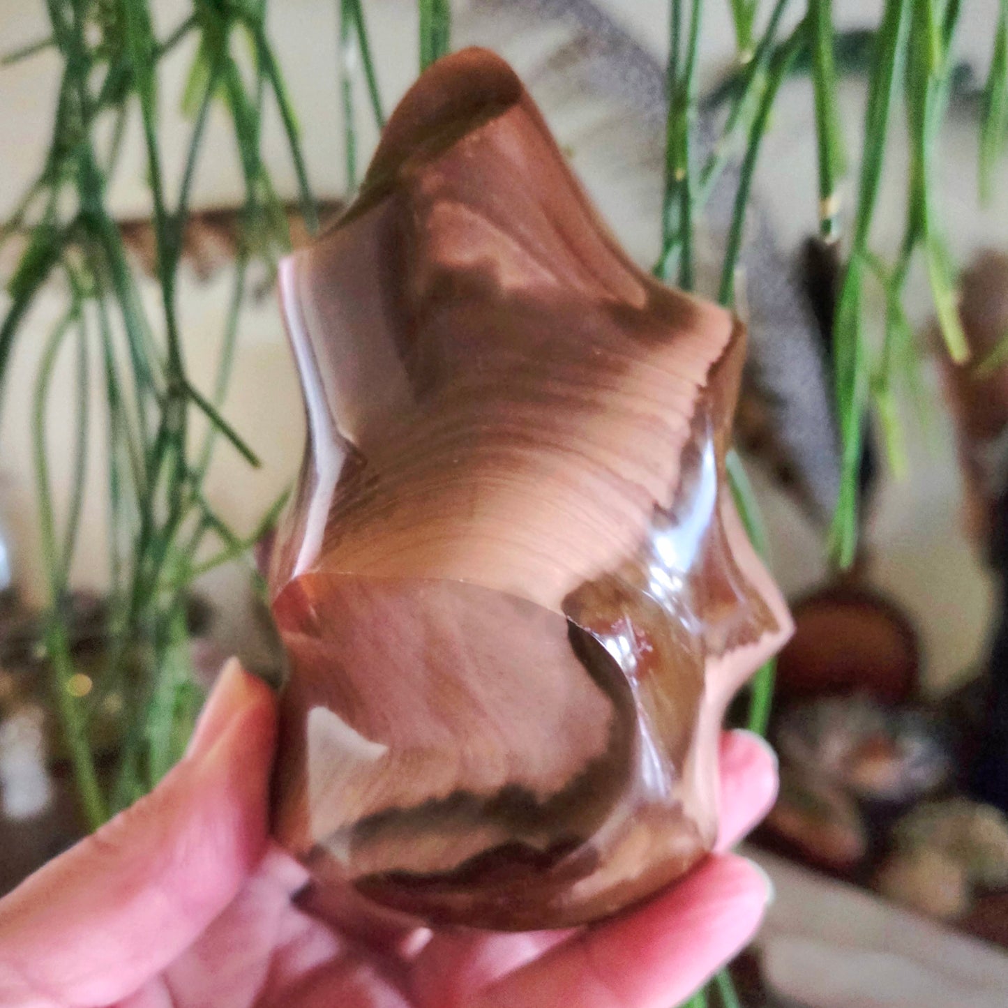 A hand holding a polished brown Ocean Jasper stone with a flame-like shape.
