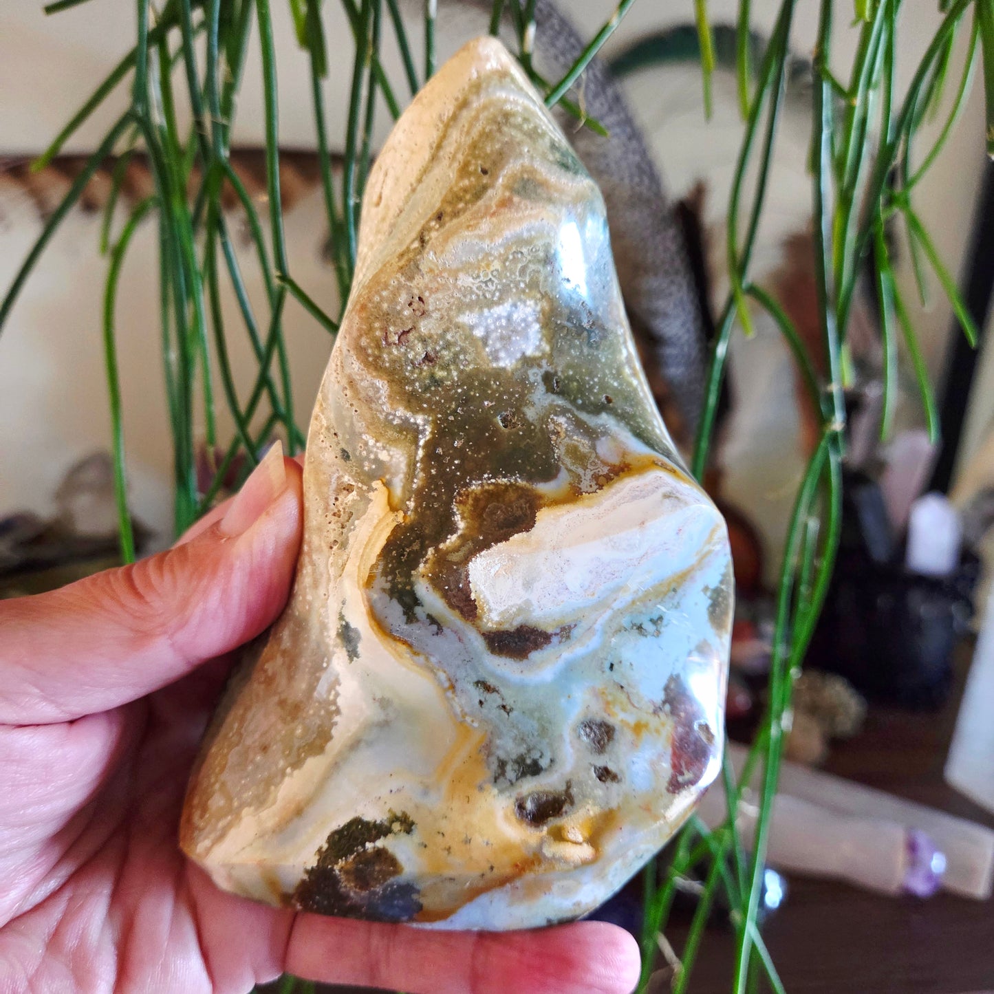 Hand holding a marbled stone with plants in the background