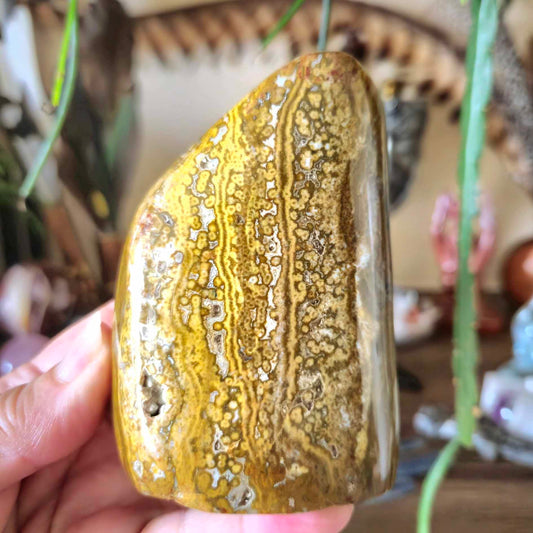 A freeform Ocean Jasper stone held in a person's hand, with a marbled yellow, brown, and white color pattern.
