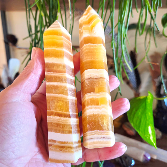 A person holding two polished orange calcite points with visible layered patterns.