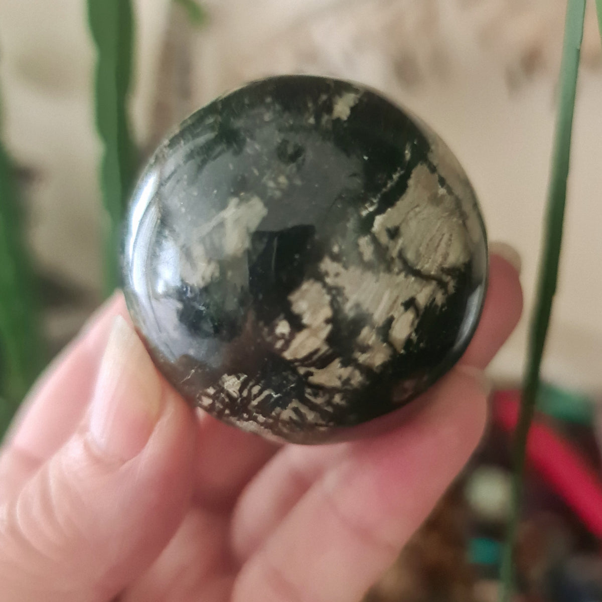 A hand holding a sphere-shaped Orthoceras fossil stone with a green and black color pattern.