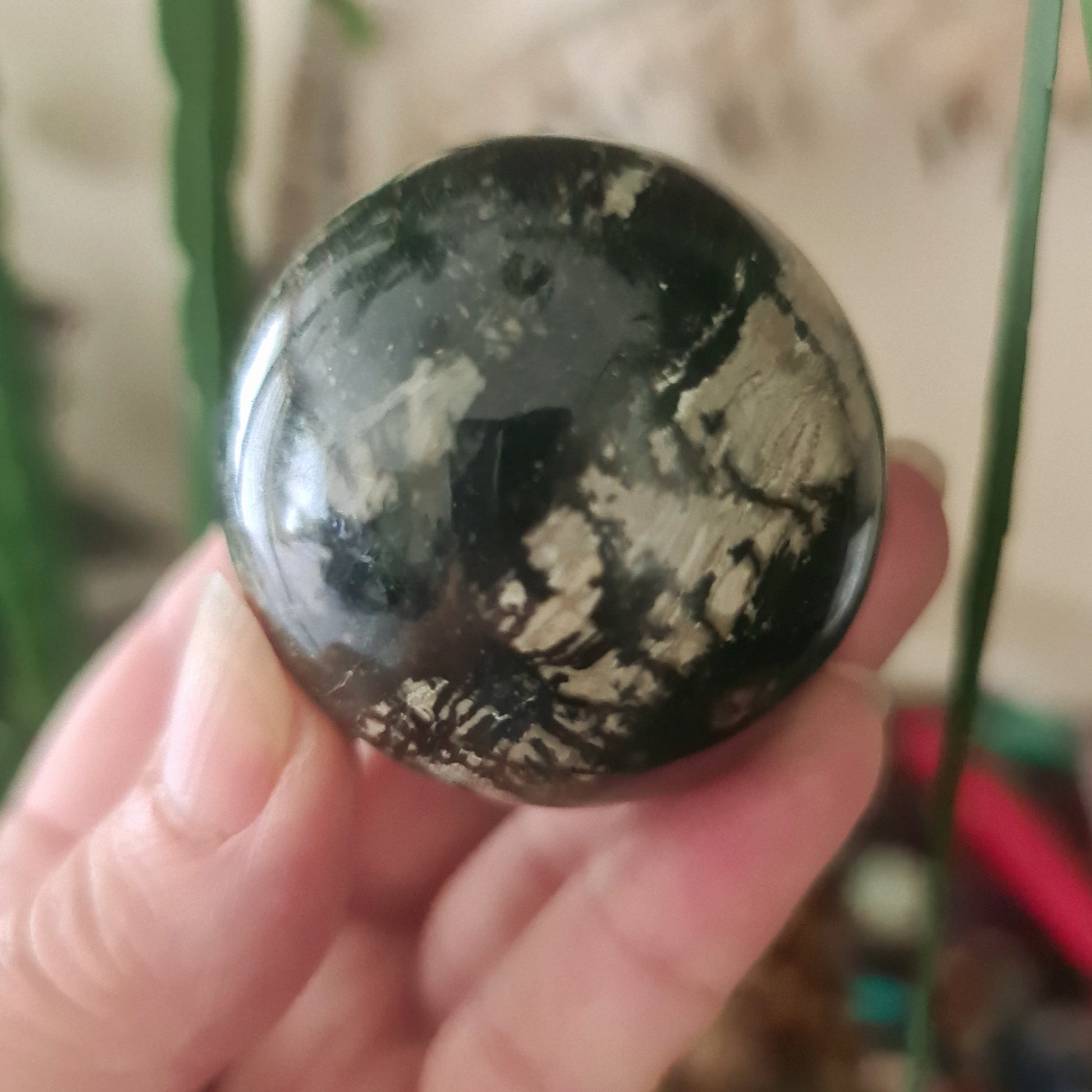 A hand holding a sphere-shaped Orthoceras fossil stone with a green and black color pattern.