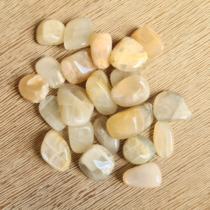 A collection of polished Peach Moonstone chip tumbles with varying shades of peach and green, displayed on a wooden surface.