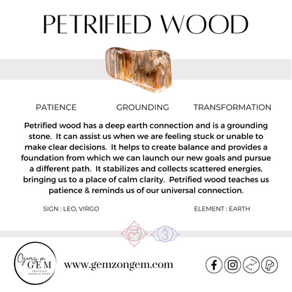 Petrified Wood Point