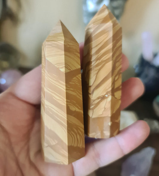 Two polished pieces of Picture Jasper stone, with a hand holding one piece in front of the other, showcasing the natural wood-like patterns.