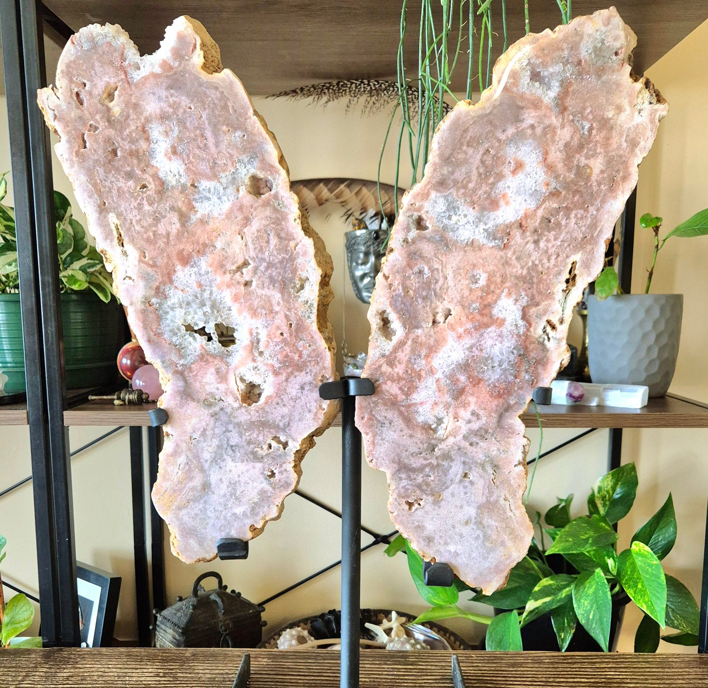 Two polished pink amethyst crystal figures resembling wings, mounted on black metal stands, displayed in a home setting with plants and decorative items in the background.