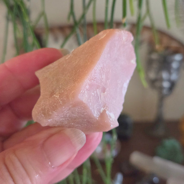 Hand holding a piece of raw chicken breast with a blurred background