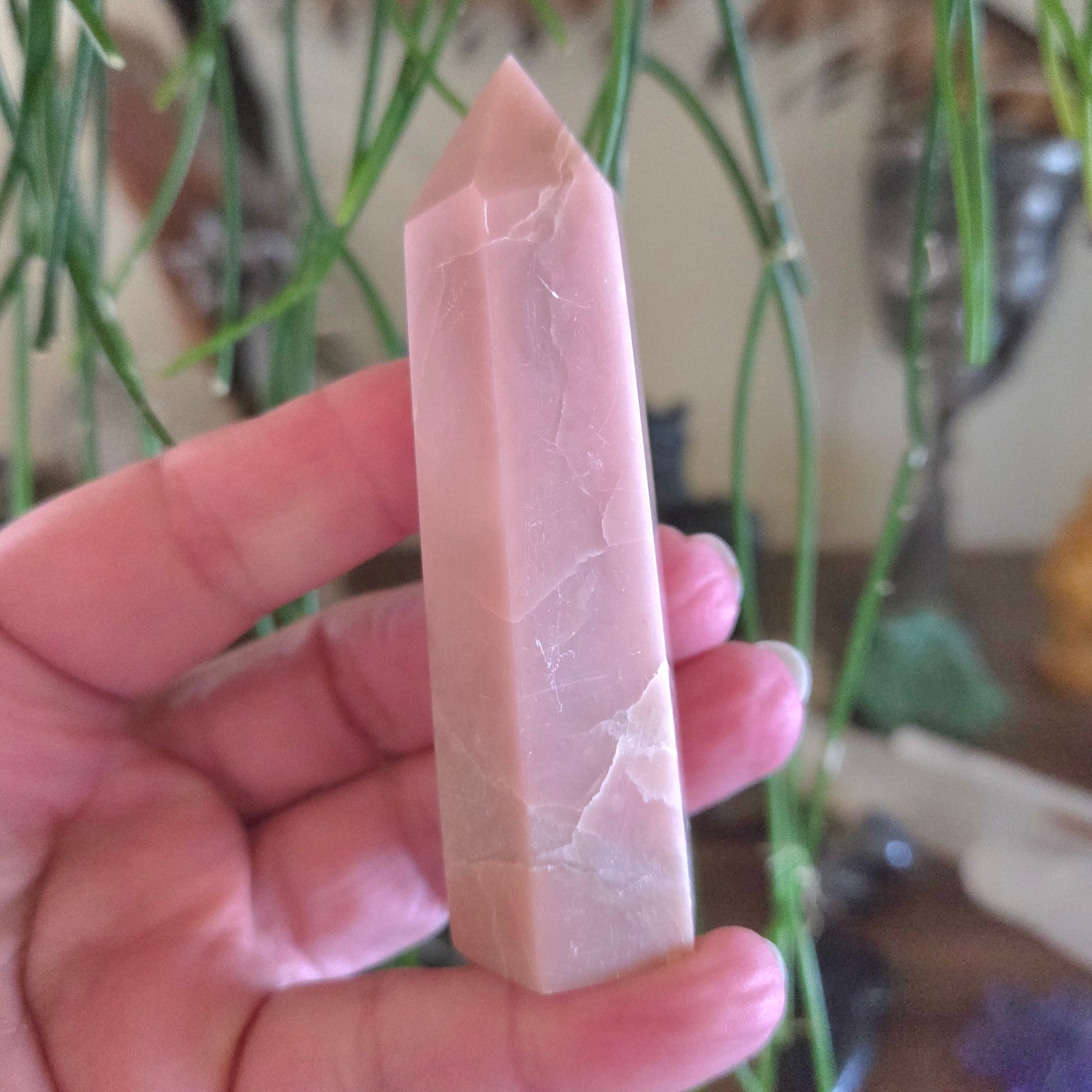 Hand holding a pink crystal with green plants in the background