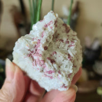 A hand holding a pink tourmaline crystal chunk with a marbled pink and gray appearance.