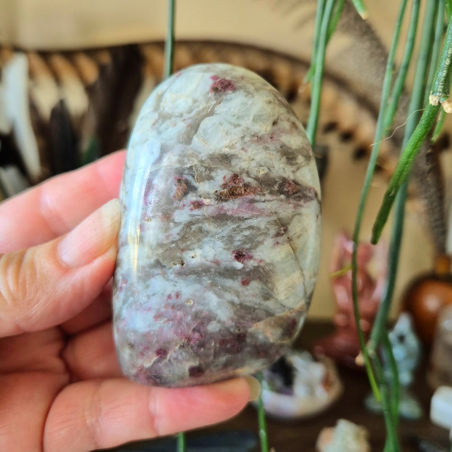 A polished pink tourmaline freeform held in a person's hand, with a blurred background of similar rocks and decorative items.
