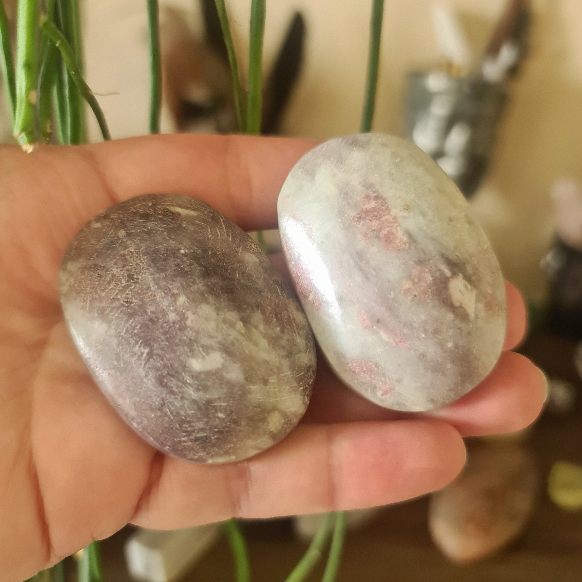 Two polished Pink Tourmaline stones held in a person's hand, with a blurred background suggesting indoor setting