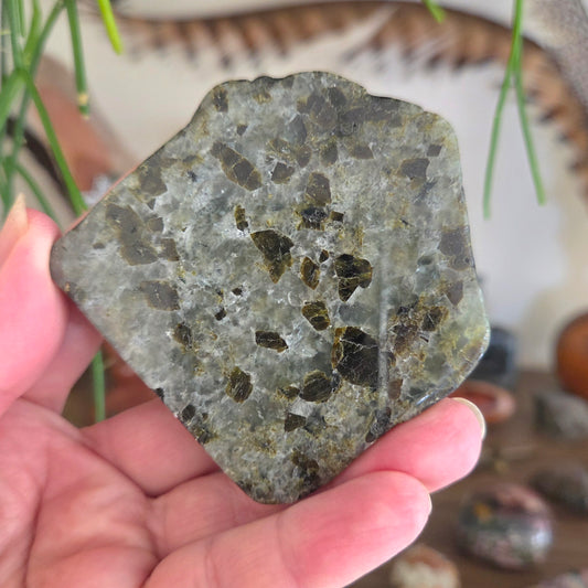 Hand holding a textured stone with a blurred background