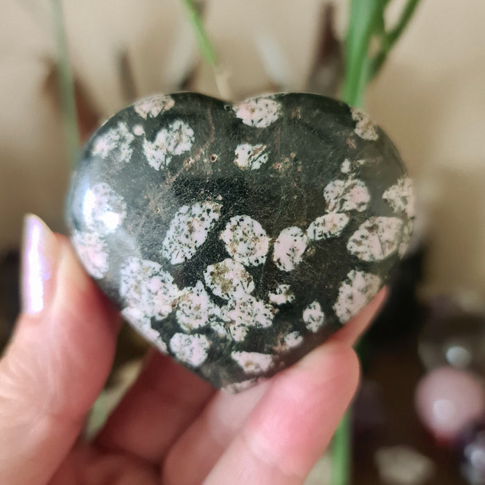A hand holding a large, heart-shaped pudding stone jasper with a black and pink color pattern.