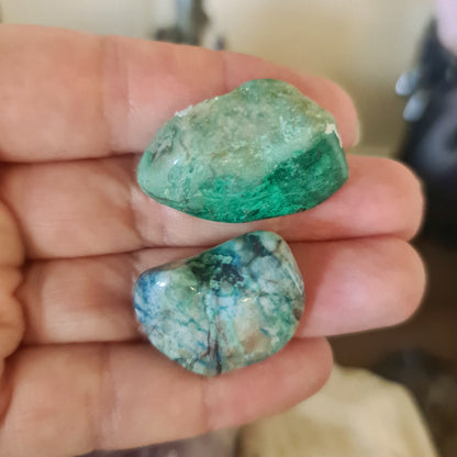 green tumble held in a hand