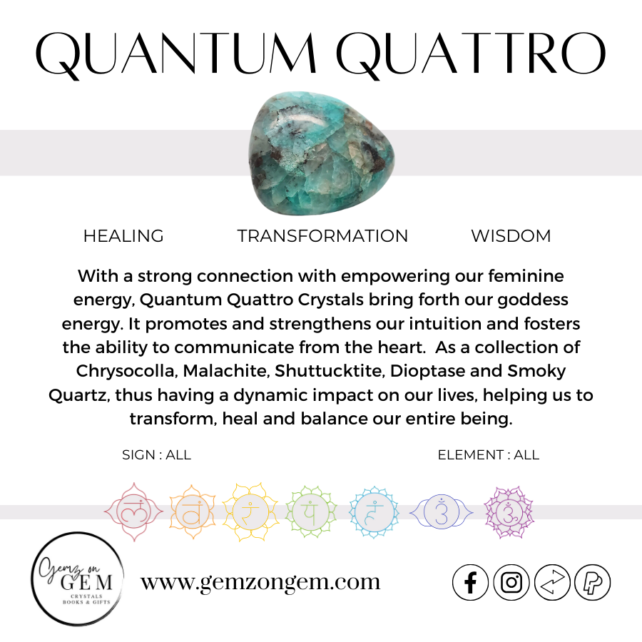 Quantum Quattro Tumble