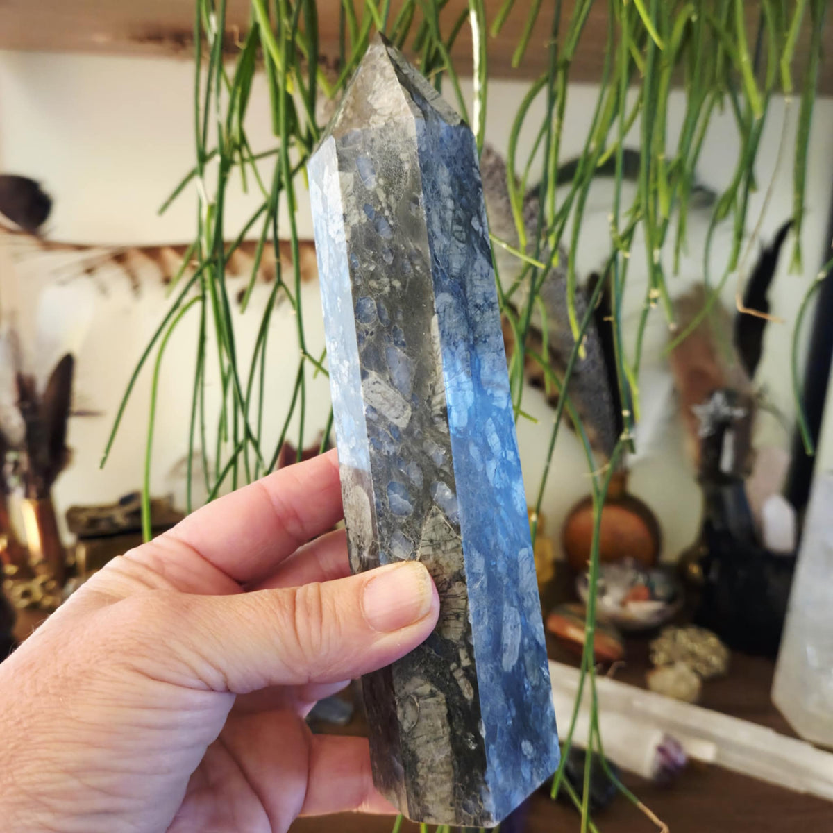 A hand holding a polished obelisk-shaped rock with a blue and gray pattern, likely a gemstone, with a blurred background of various objects.