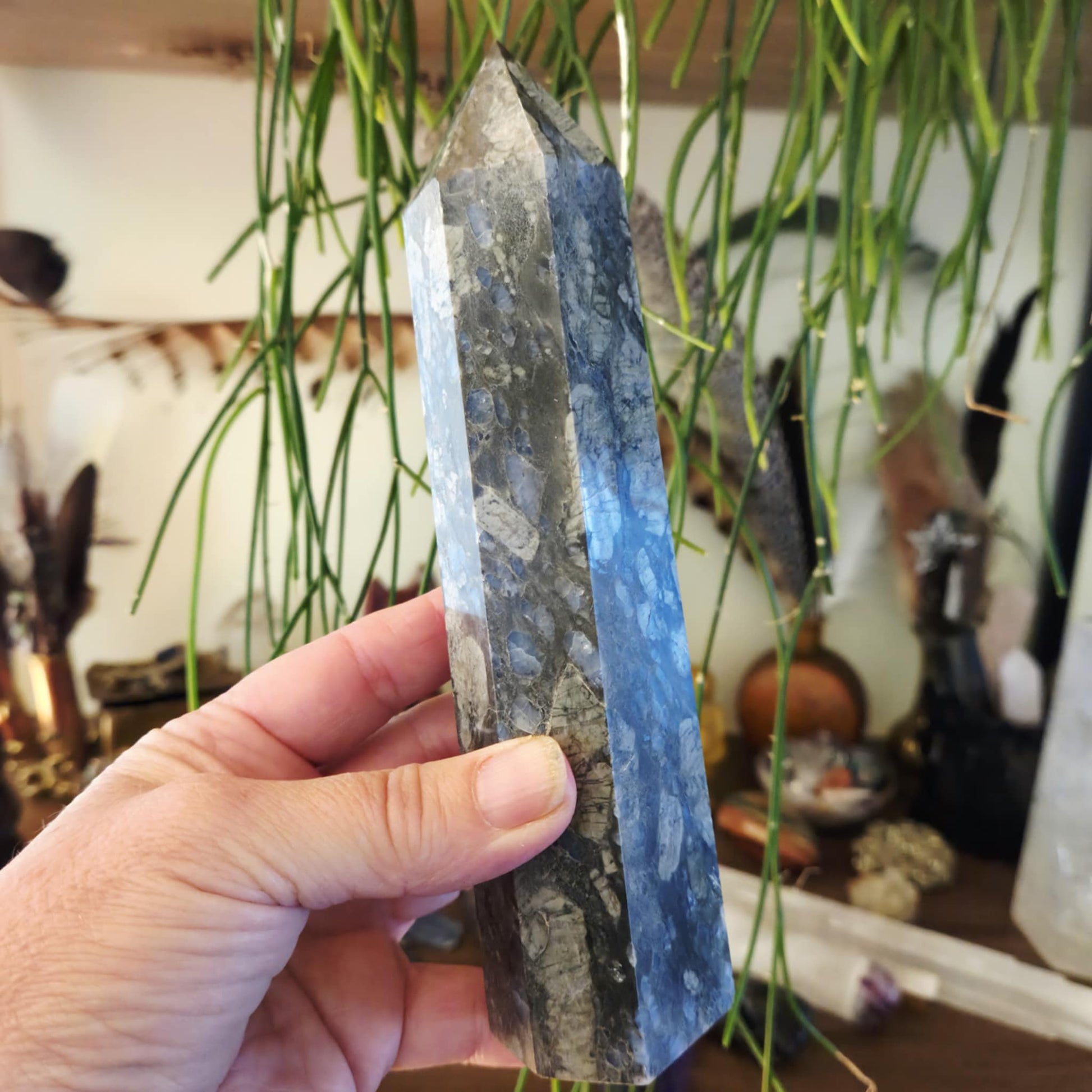 A hand holding a polished obelisk-shaped rock with a blue and gray pattern, likely a gemstone, with a blurred background of various objects.