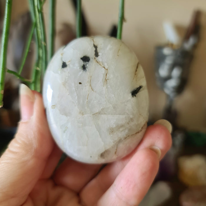 A hand holding a polished Rainbow Moonstone Palm, with a plant in the background.
