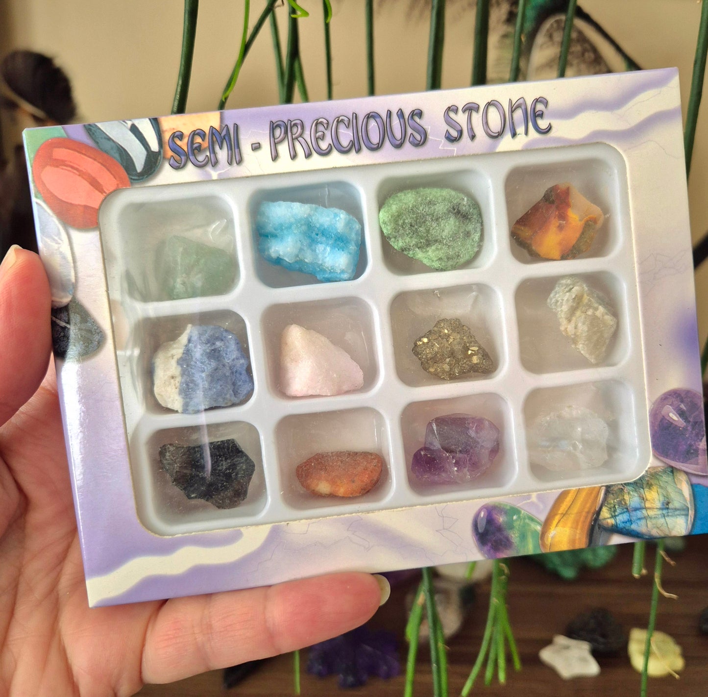 A gift boxed set of 12 raw crystals, with various colors and types of crystals visible through the clear plastic compartments.