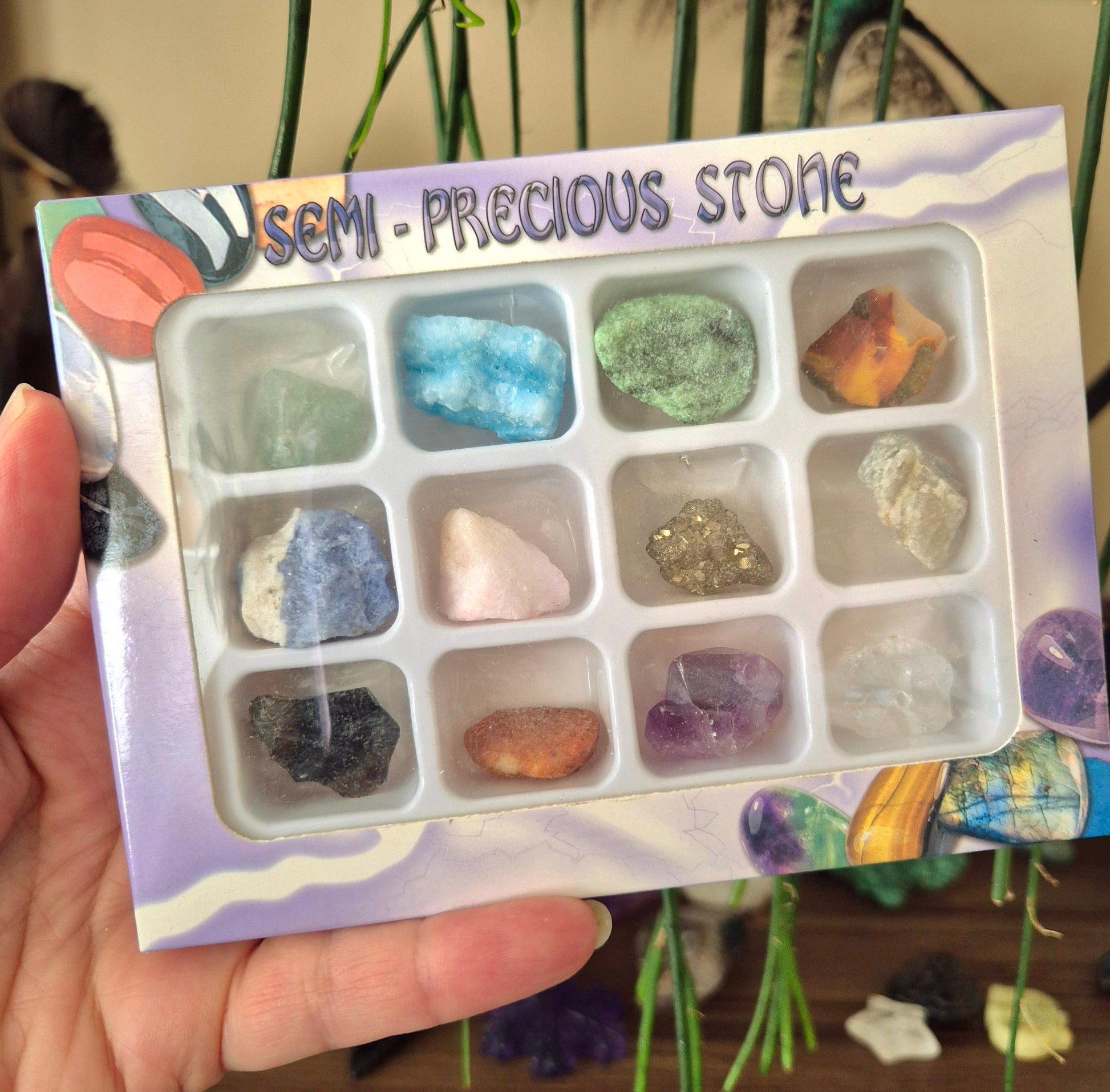 A gift boxed set of 12 raw crystals, with various colors and types of crystals visible through the clear plastic compartments.