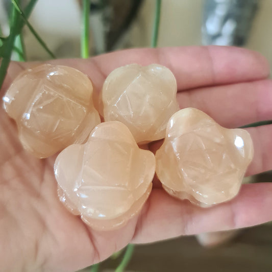 A hand holding several polished red calcite stones shaped like flowers, with a plant in the background.