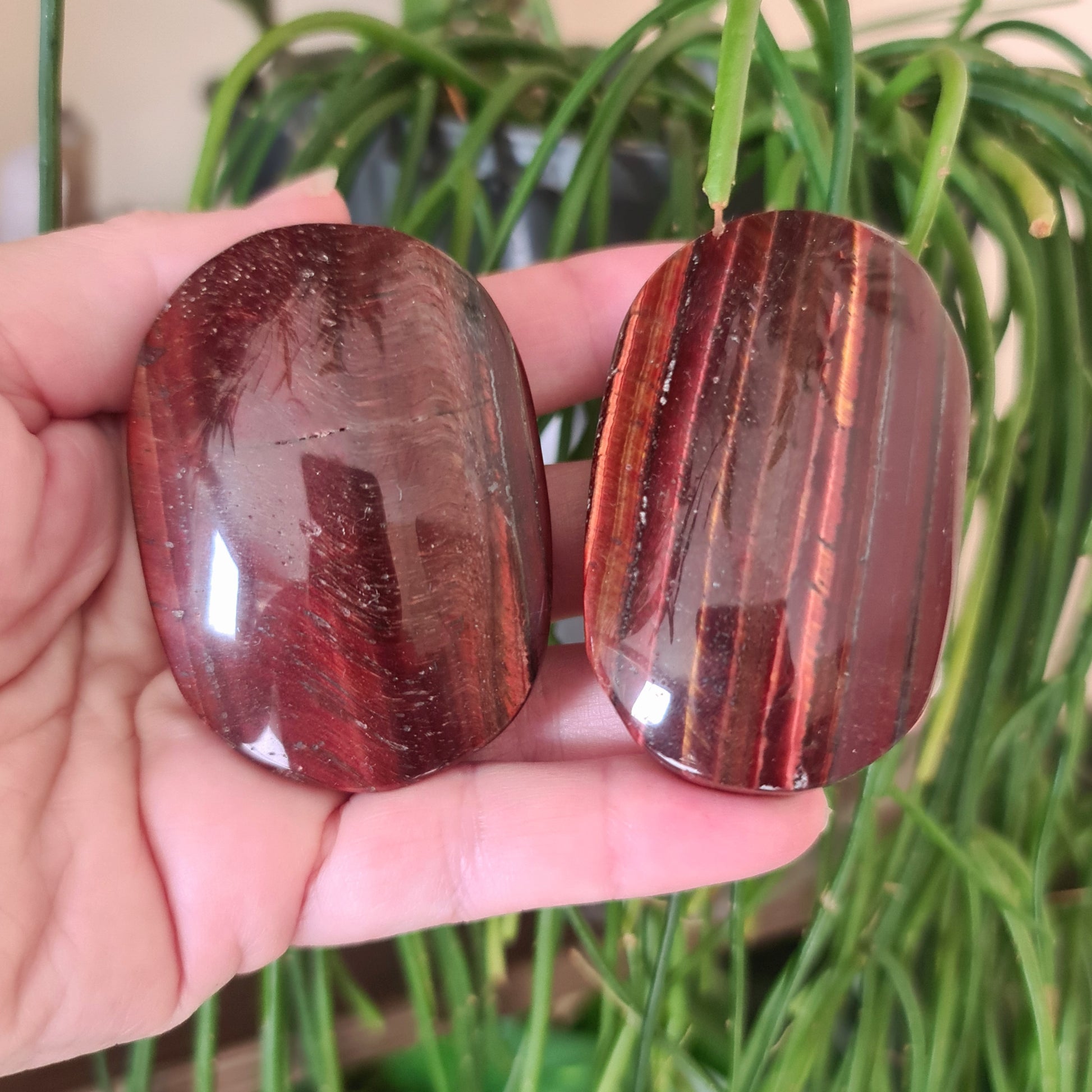 Two polished red tiger's eye palm stones held in a person's hand, with a plant in the background.