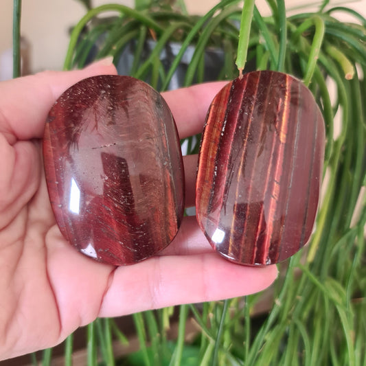 Two polished red tiger's eye palm stones held in a person's hand, with a plant in the background.