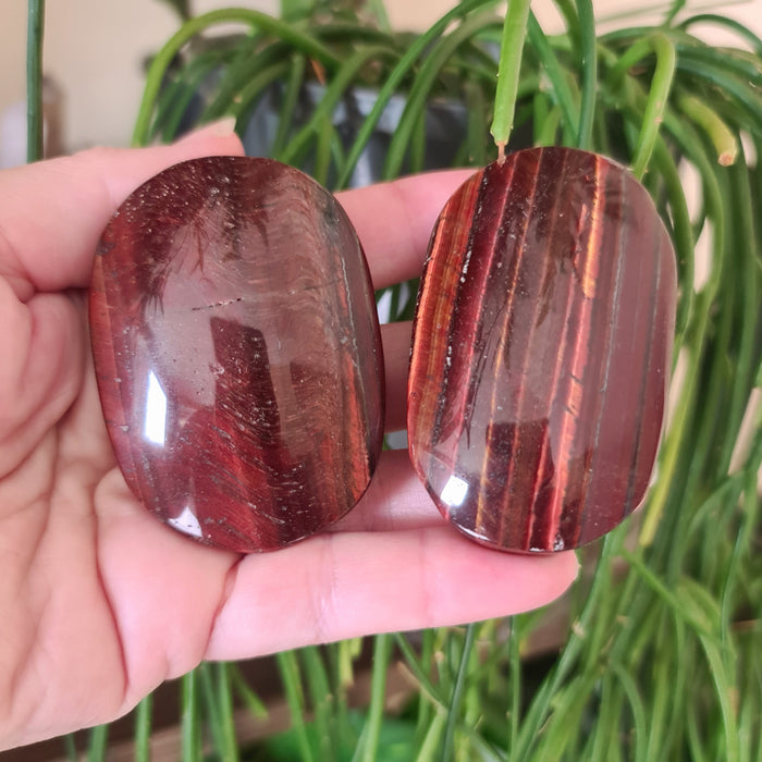 Two polished red tiger's eye palm stones held in a person's hand, with a plant in the background.