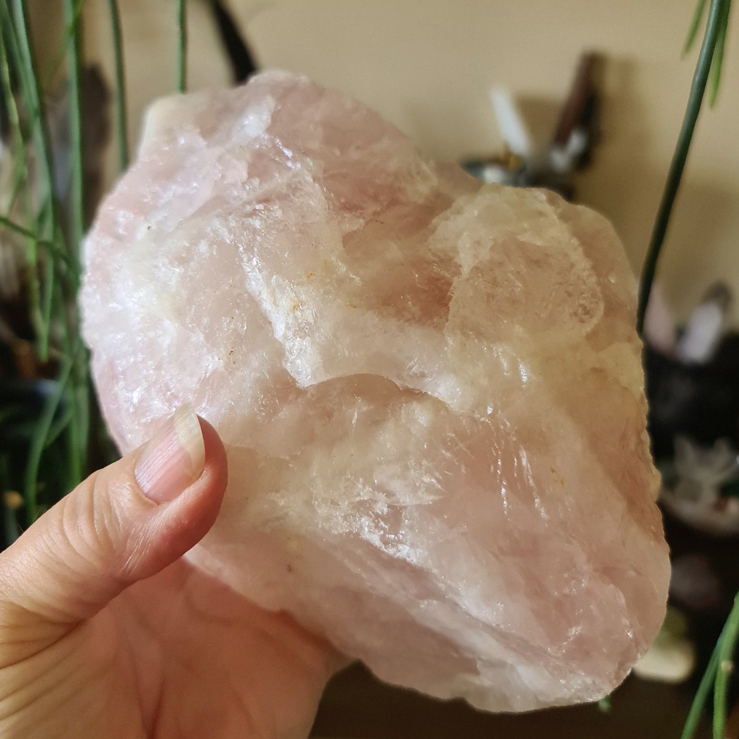 A large polished pink Rose Quartz crystal chunk held in a person's hand, with a blurred background suggesting indoor setting