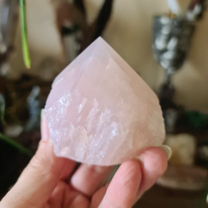 A polished pink rose quartz crystal held in a person's hand, with a blurred background suggesting a indoor setting, possibly a store or home.
