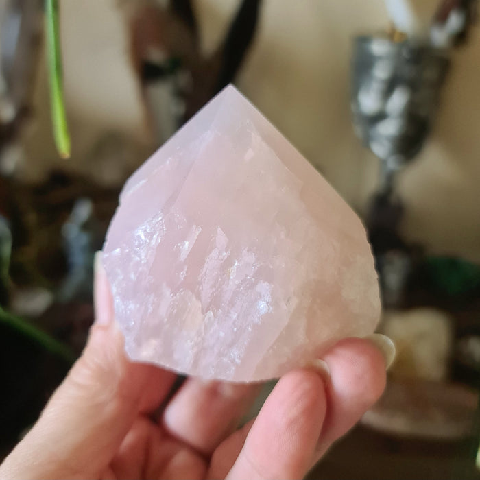 A polished pink rose quartz crystal held in a person's hand, with a blurred background suggesting a indoor setting, possibly a store or home.