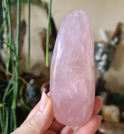 A hand holding a polished, pink-colored Rose Quartz crystal.