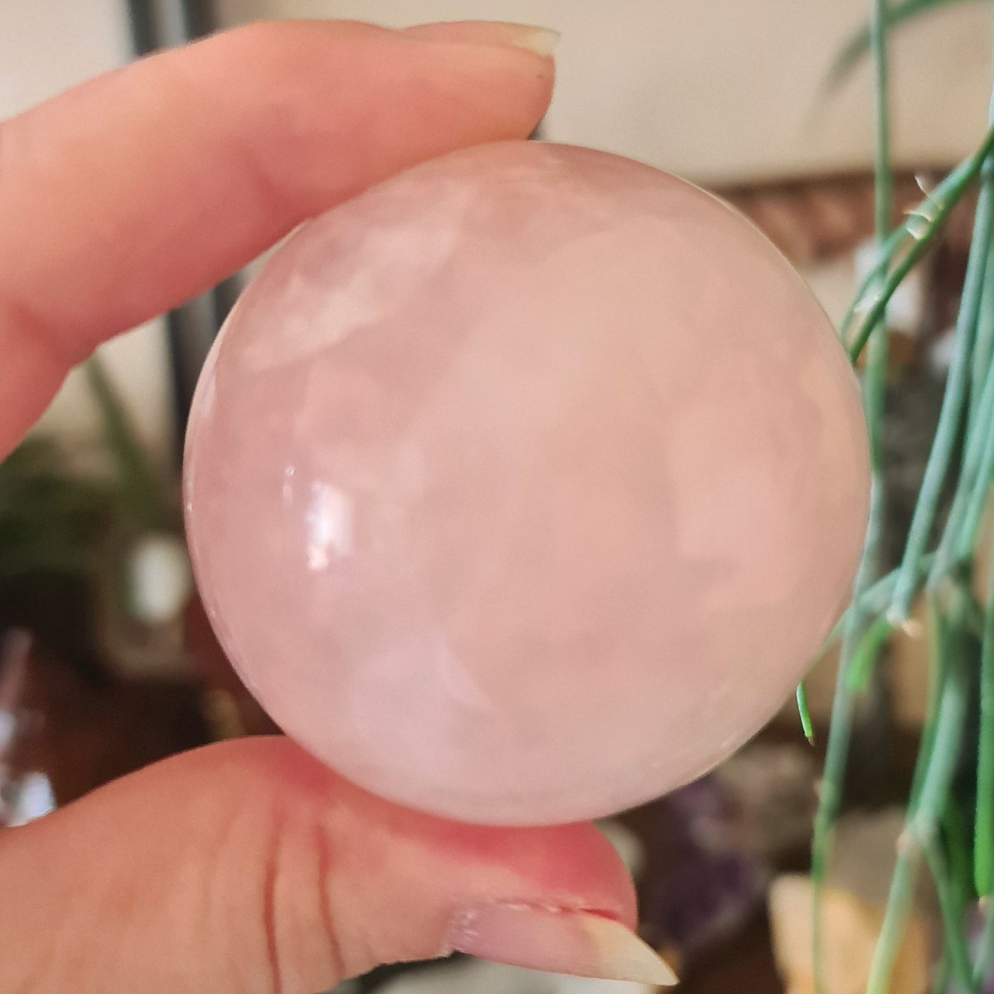 A hand holding a polished rose quartz sphere with a pink translucent color.