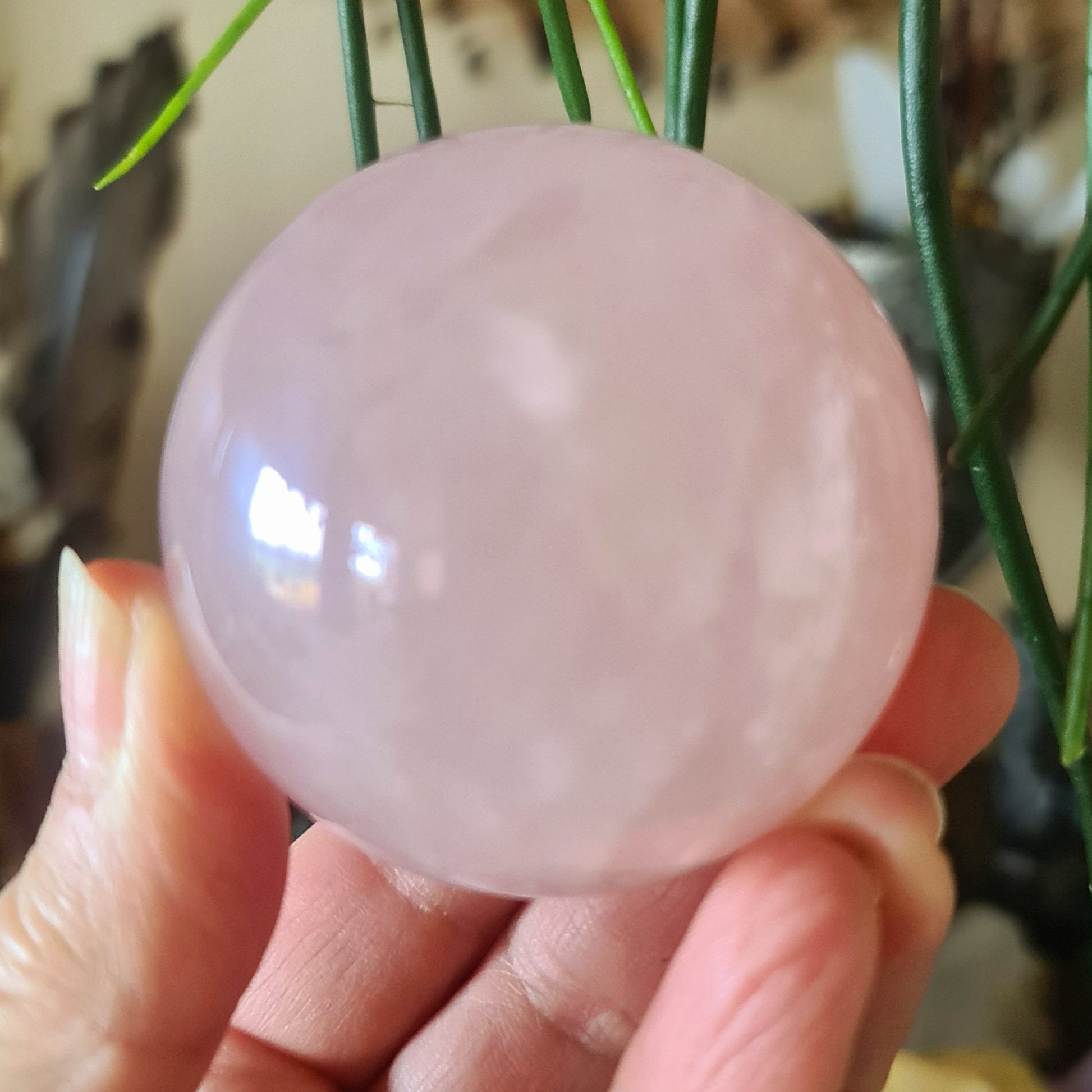 A person holding a pink rose quartz sphere with a smooth surface.