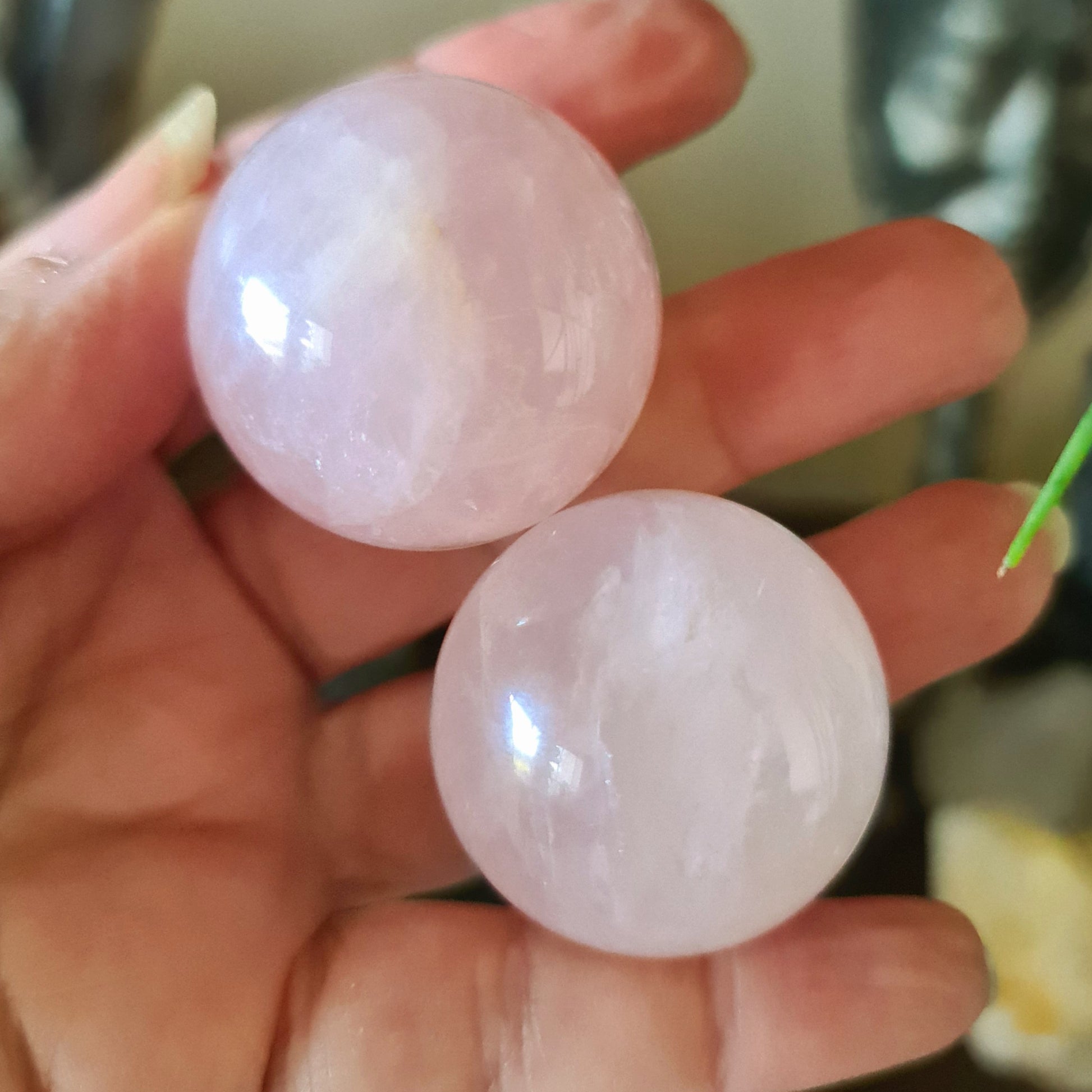 Two polished rose quartz spheres held in a person's hand.