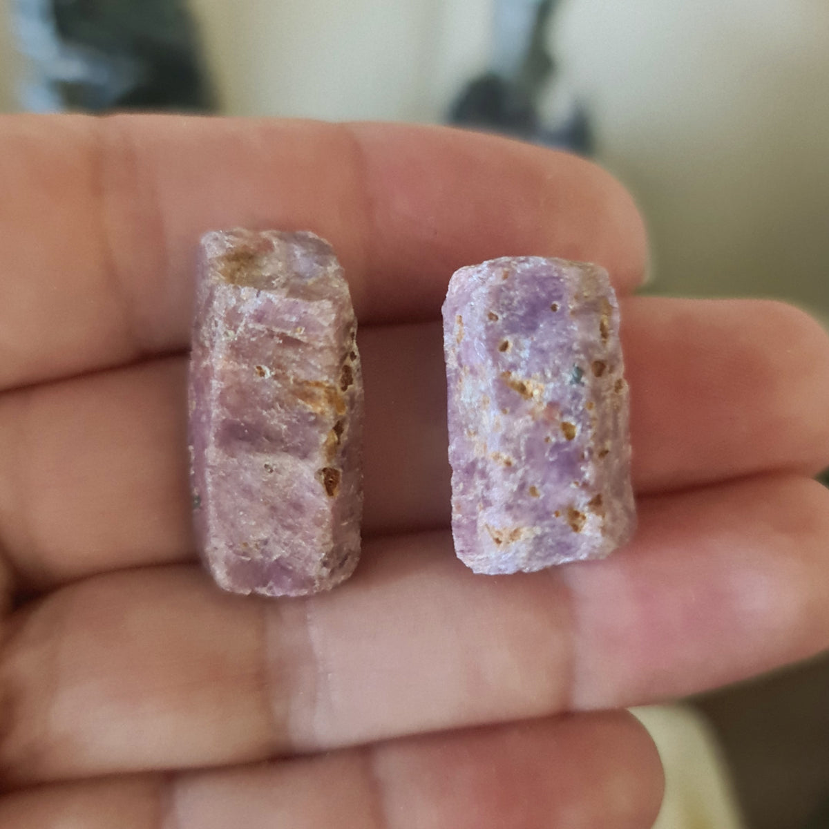 Two rough ruby chunks held in a person's hand, with a blurred background.