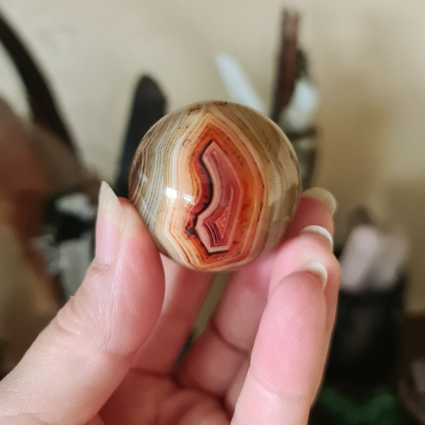 A person holding a Sardonyx sphere with a marbled red and white appearance.
