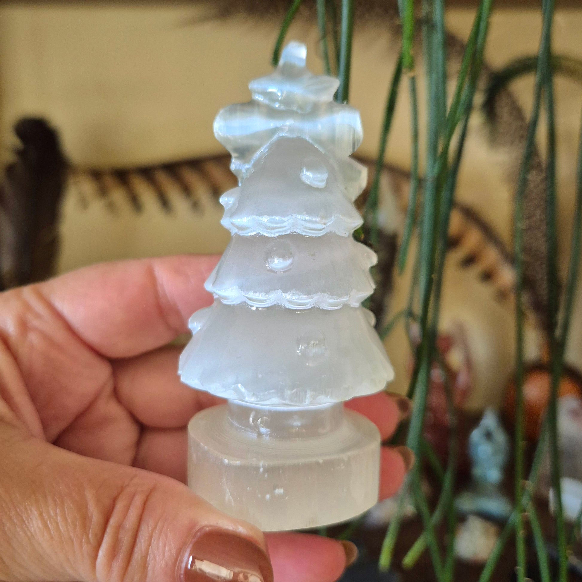 A hand holding a Selenite crystal shaped like a Christmas tree, with a blurred plant in the background.