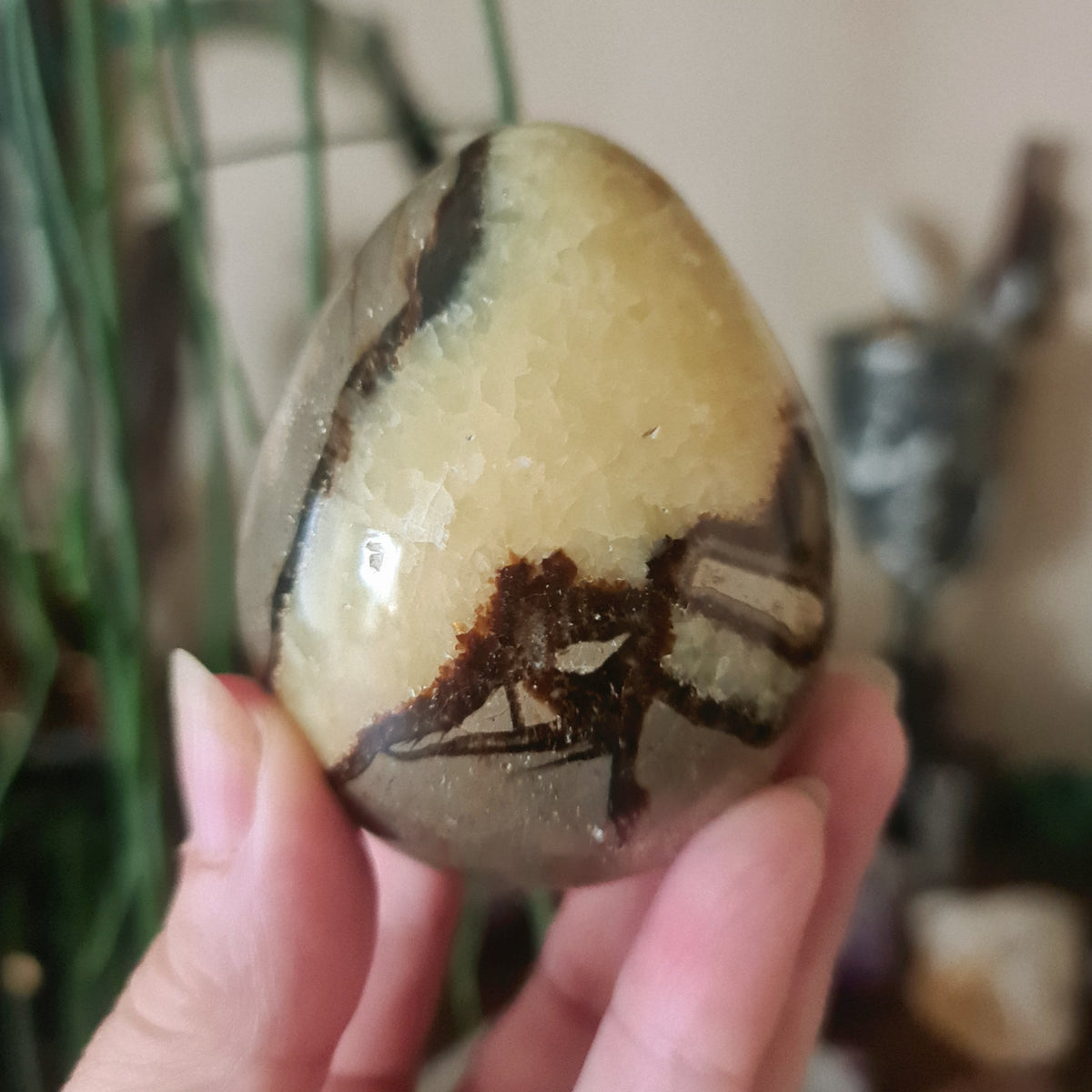 A polished septarian egg-shaped stone with a mottled brown and beige appearance, held in a person's hand.