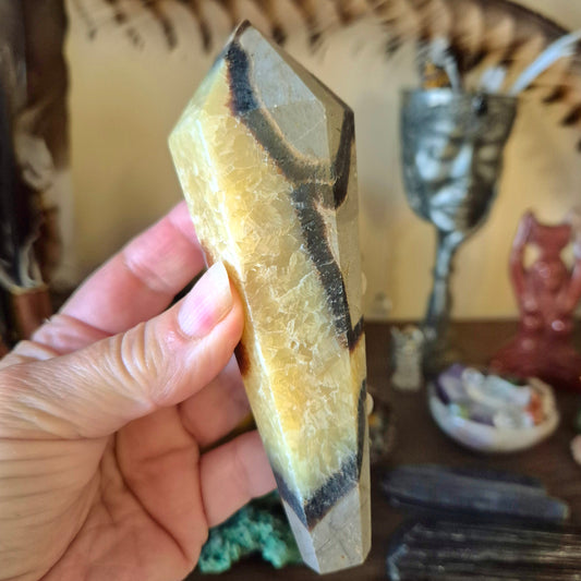 A hand holding a polished, yellow-brown septarian sceptre with black patterns, held against a backdrop of various crystal and decorative items.