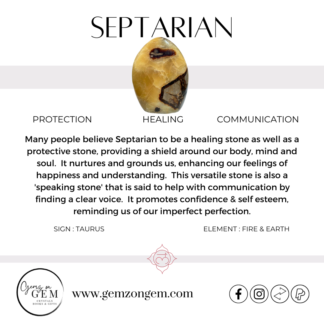 Septarian Palm Stone