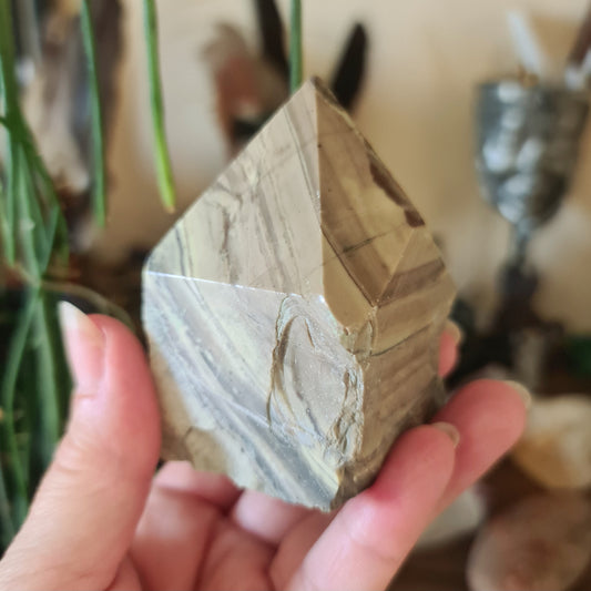 A polished serpentine stone held in a person's hand, with a blurred background featuring other stones and crystal-like objects.