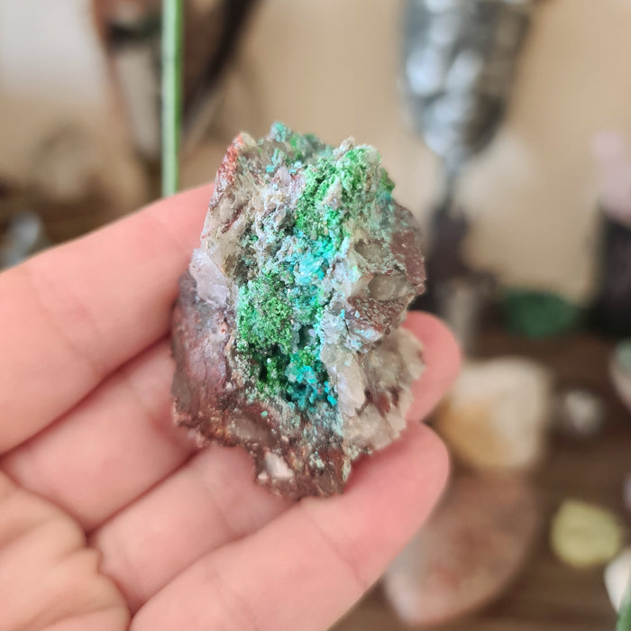 A polished Shattuckite crystal specimen with green and brown coloring, held in a person's hand.