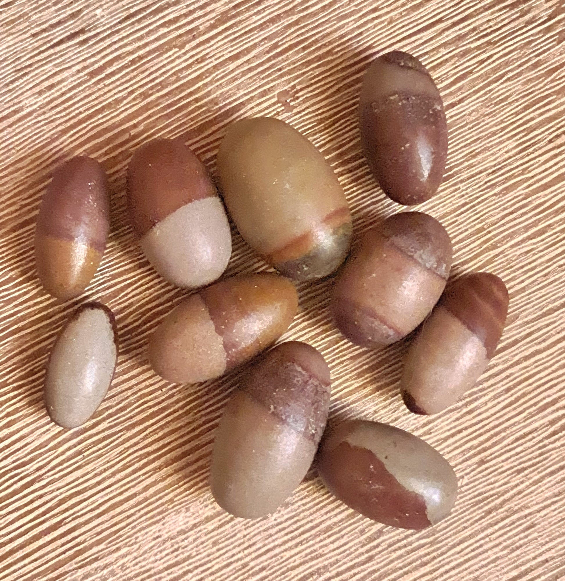 A collection of brown Shiva Lingam tumbles with symmetrical rounded ends, displayed on a beige background.