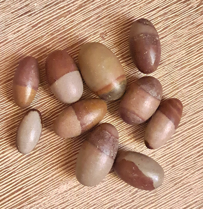 A collection of brown Shiva Lingam tumbles with symmetrical rounded ends, displayed on a beige background.