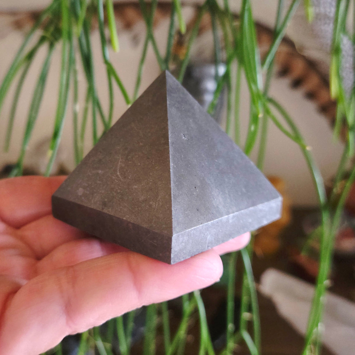 A hand holding a gray shungite pyramid stone with a plant in the background.
